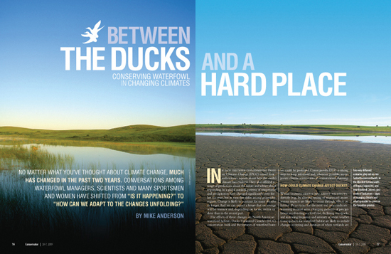 国外杂志的精致版面设计