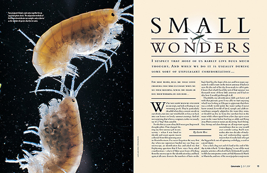 国外杂志的精致版面设计