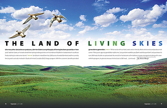 国外杂志的精致版面设计