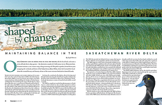 国外杂志的精致版面设计