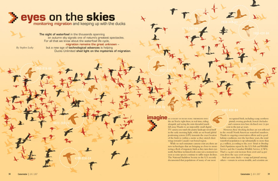 国外杂志的精致版面设计