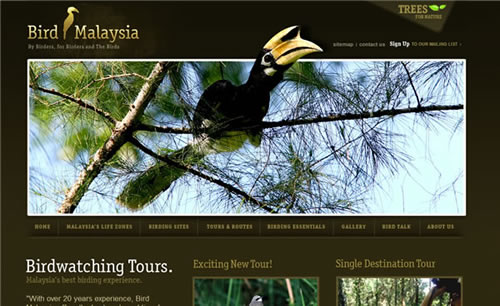 BirdMalaysia BirdMalaysia