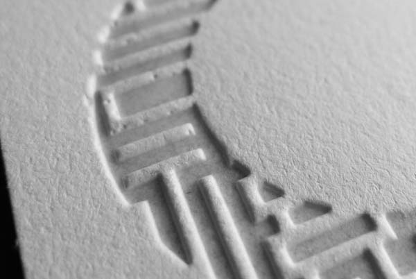 查看《福禄寿禧来设计机构