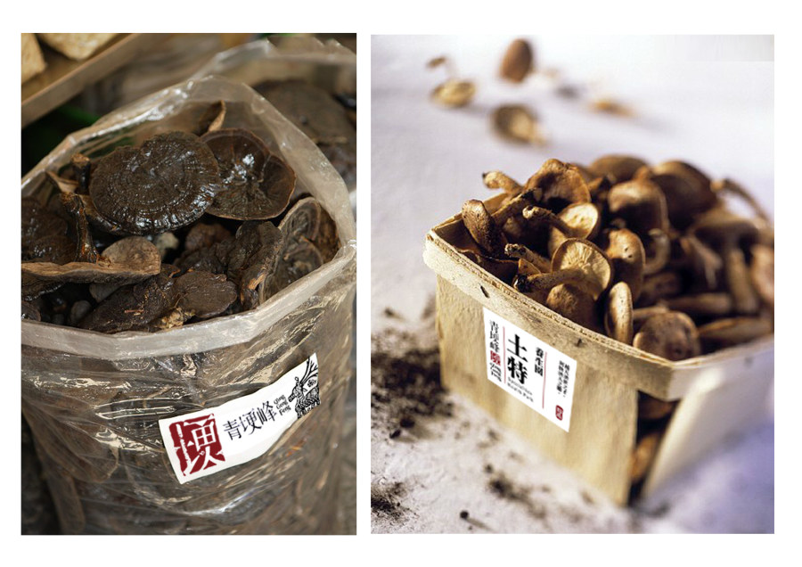 查看《毕业后第一个作品》原图，原图尺寸：3508x2480