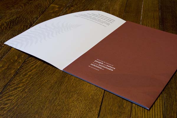 国外漂亮的封套设计集锦