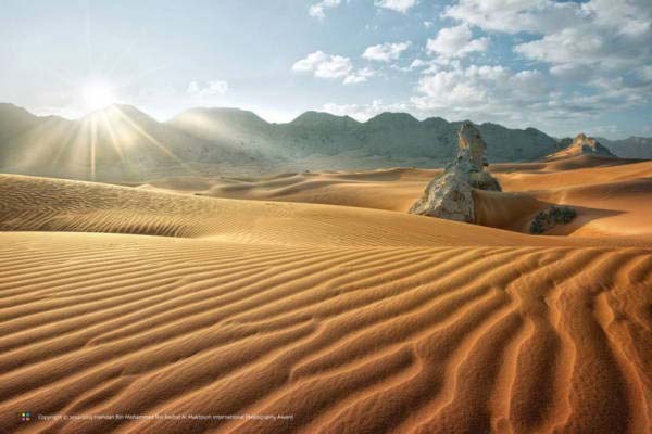 类别：光之美（阿联酋组）