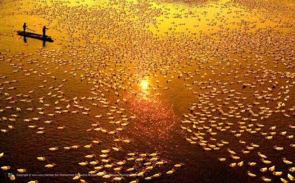 类别：光之美（国际组）