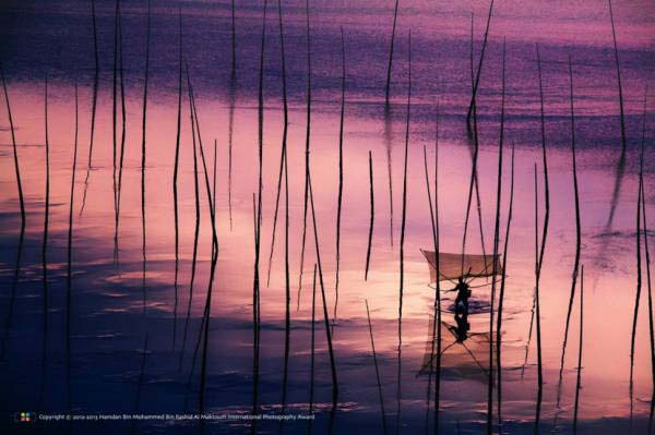 类别：光之美（国际组）