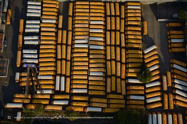 类别︰普通类(阿联酋组)