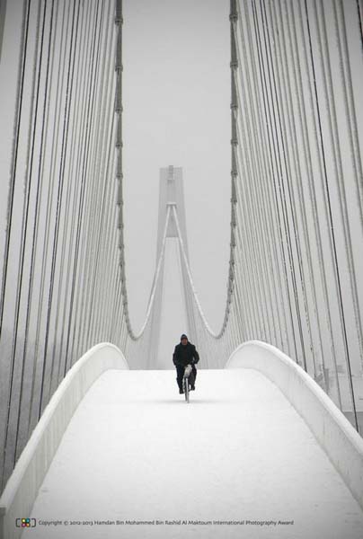 类别︰普通类(国际组)