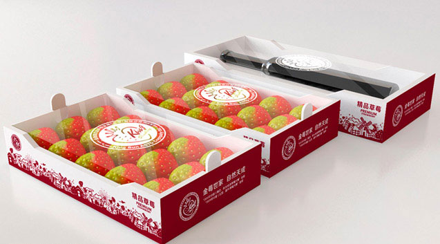 金香源 草莓包装设计2