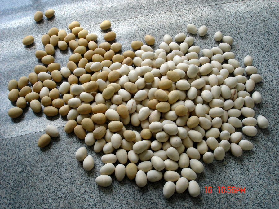 查看《国召牌绿色纯天然鸡蛋》原图，原图尺寸：2592x1944