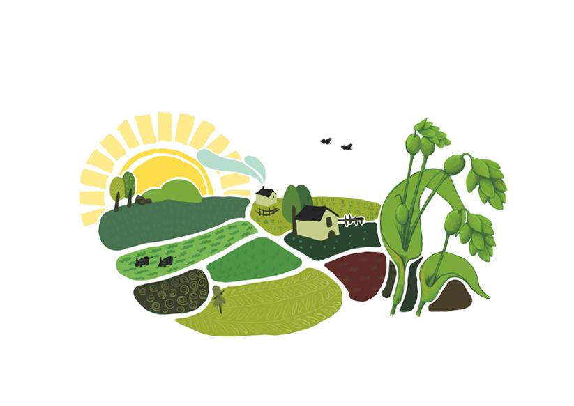 糯薏仁系列绿色食品品牌包装设计 [14P] (1).jpg