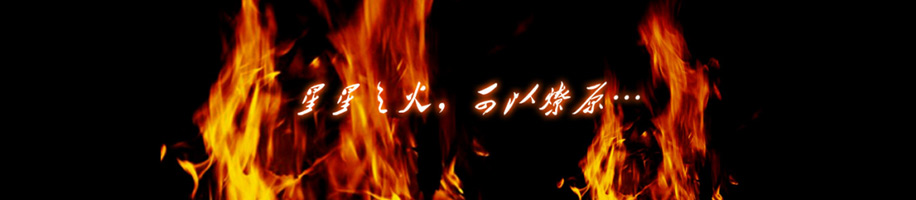 磊诺-web网站设计