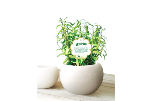 农产品有机大米蔬菜水果食品生太园包装设计绿植