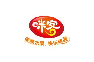 时尚休闲食品Mikr咪客鲜果肉VIS手册设计