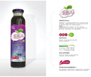 饮品饮料 -果汁果醋纯净水设计案例赏析