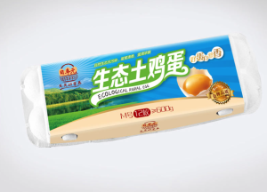 高档生态土鸡蛋包装设计案例分享