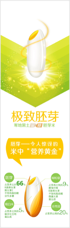 胚芽米插图创作设计